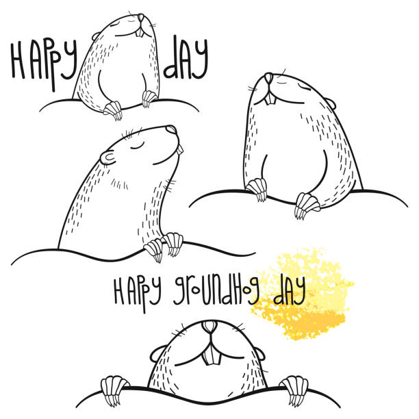 Vector Happy Groundhog day set with outline cute groundhog or marmot or woodchuck in black isolated on white background. Vector Happy Groundhog day set with outline cute groundhog or marmot or woodchuck in black isolated on white background. Forecast spring animal in contour style for coloring book and greeting design. groundhog stock illustrations