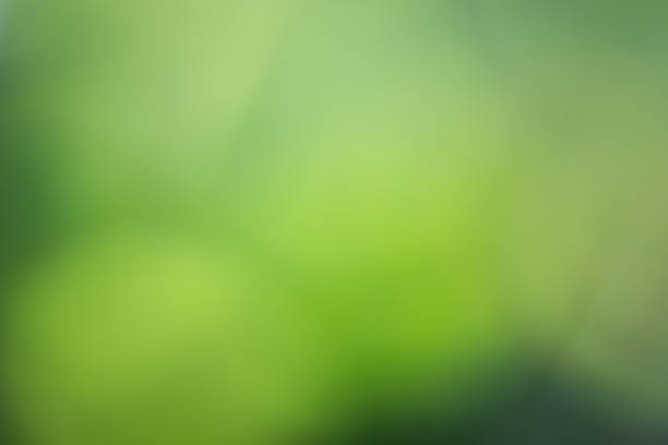 istock blurring green and yellow leaves 910503544