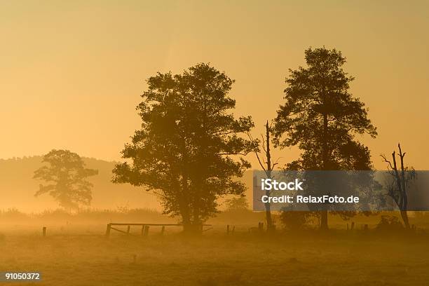 Foggy Morning Countryside Stock Photo - Download Image Now - Agricultural Field, Autumn, Color Image