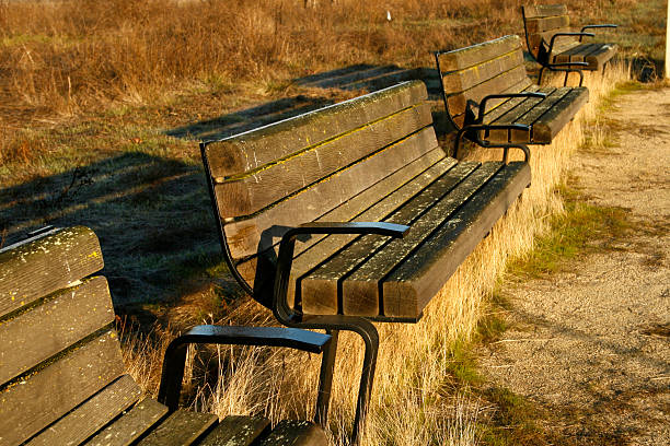 Benches on a cold morning stock photo