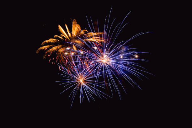 istock Colorful firework on the night sky. New Year celebration fireworks. Abstract firework isolated on black background with free space for text 910506490