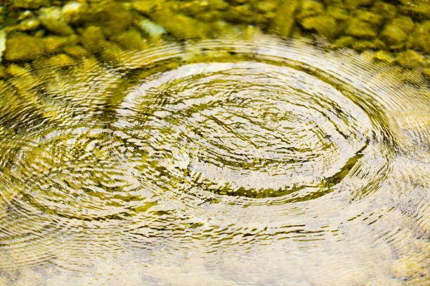 istock Circles on the smooth surface of the water on the river 910520598