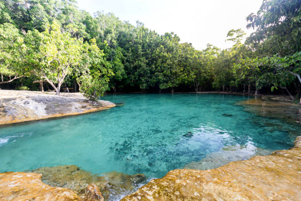 istock Emerald Pool at Krabi, Thailand 910520818