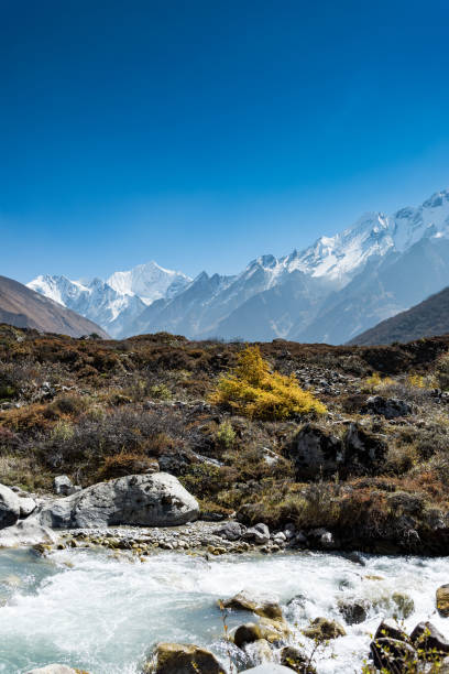 istock Landscape of Langtang region 910523912