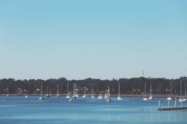 istock Tree Lined Boat Marina, Pier, South Carolina, Copy Space 910527366