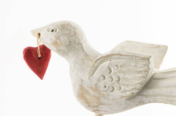 istock Dove clutching a heart shape: Close up 91052819