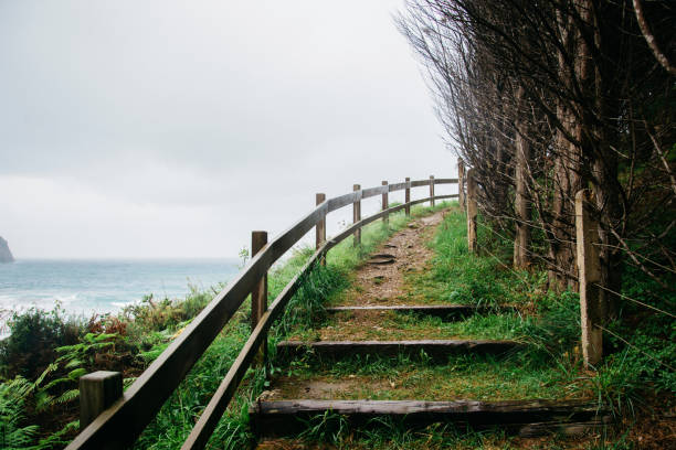 istock Wooden stairs going up around seashore 910540030