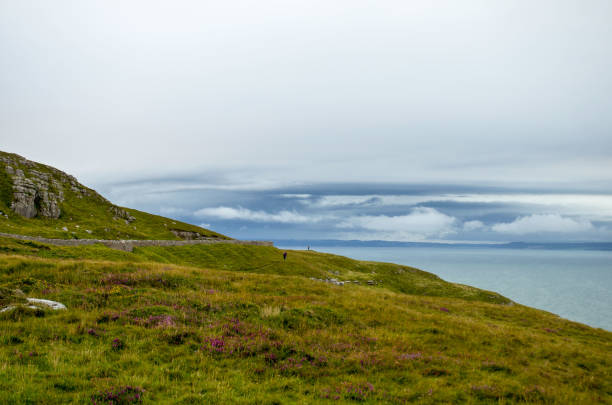 istock Green valley on the ocean shore in Wales. 910542200