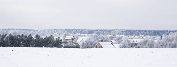 istock landscape forest frosty in winter 910543310