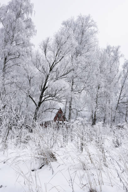 istock winter forest hoarfrost old house 910543416