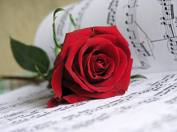 Love Song for You stock photo