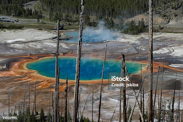 Fonte Grand Prismatic - Fotografias de stock e mais imagens de Acidente Natural - Acidente Natural, Alga, Ao Ar Livre