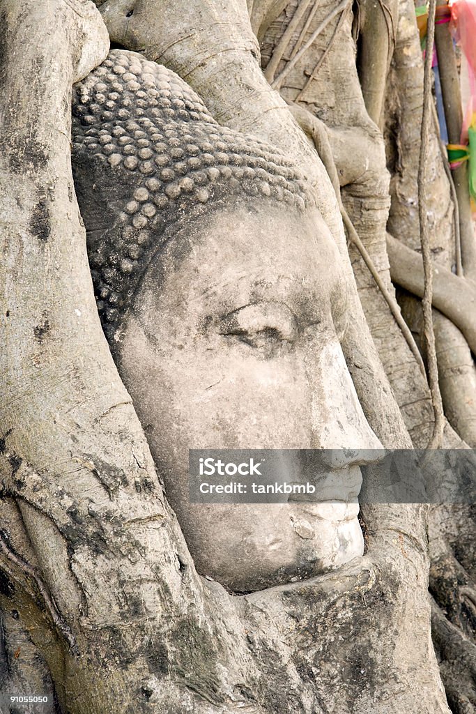 Buddha Head in Tree Roots  Ancient Stock Photo