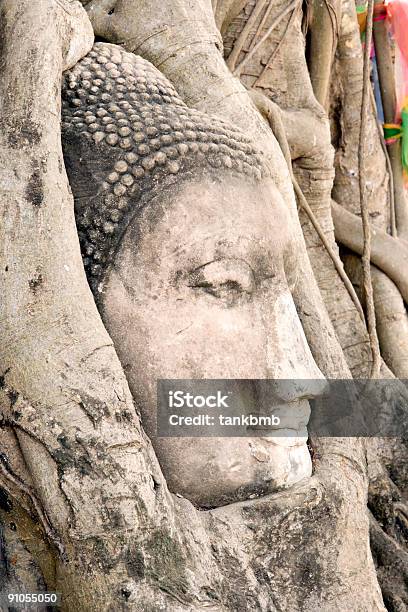 Buddha Head In Tree Roots Stock Photo - Download Image Now - Ancient, Asia, Ayuthaya