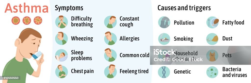 The symptoms and causes of asthma, infographics. Vector illustration for medical journal or brochure. Young man using asthma inhaler, vector illustration. The symptoms and causes of asthma, infographics. Vector illustration for medical journal or brochure. Young man using asthma inhaler. Vector illustration. Asthmatic stock vector