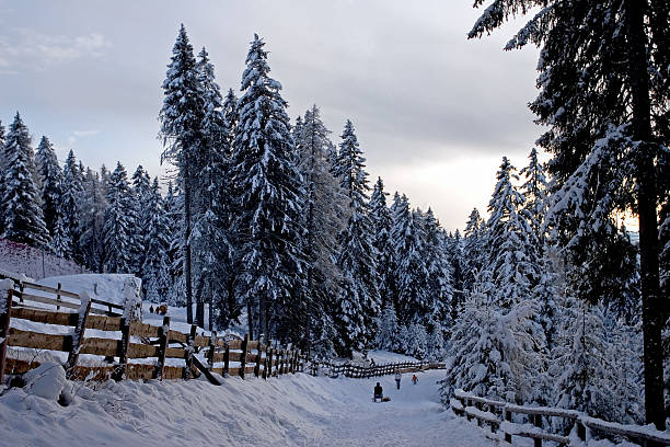 Winter scene in the Alps  avelengo stock pictures, royalty-free photos & images