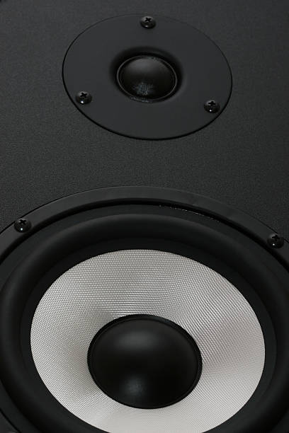 istock two audio speakers bass and tweeter clode up view 91057411