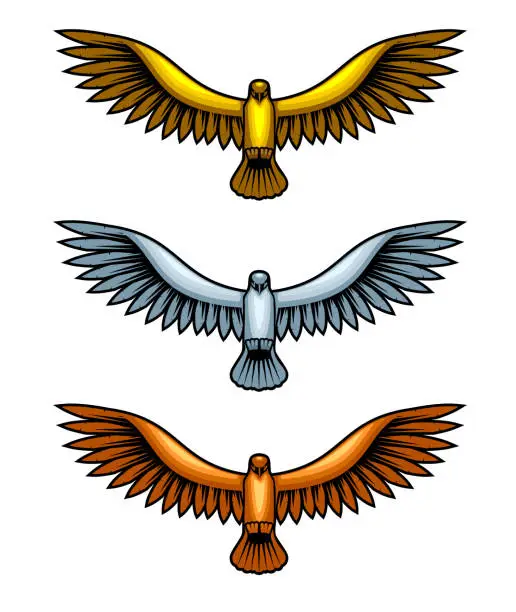 Vector illustration of Three Metal Hawks
