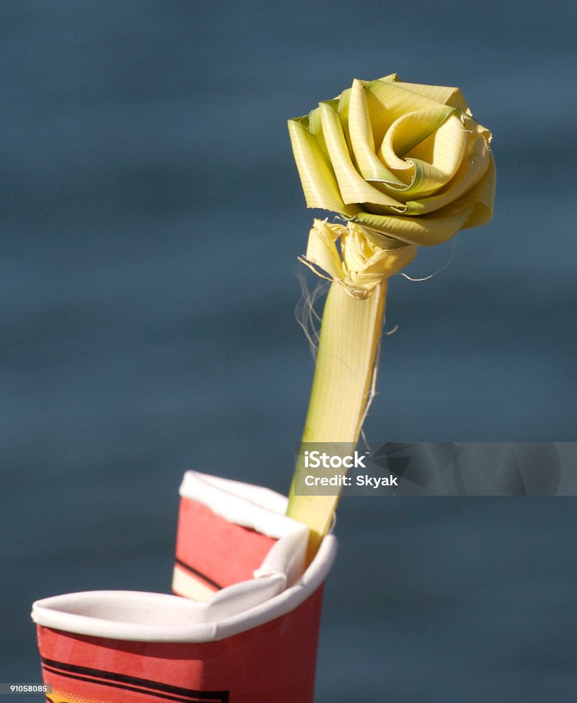 Rose in reed - Foto stock royalty-free di Acqua