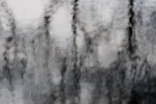 istock Blurry of Reflection of tree branch in the water 910581492