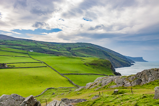 Green pastures along the coast in County Antrim, Ireland near Kenmare