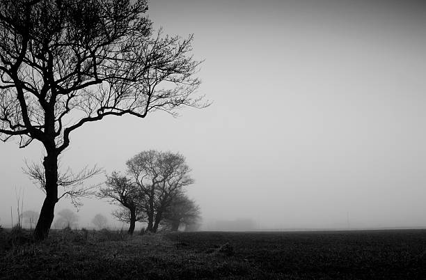 istock winter landscape fog. 91058301