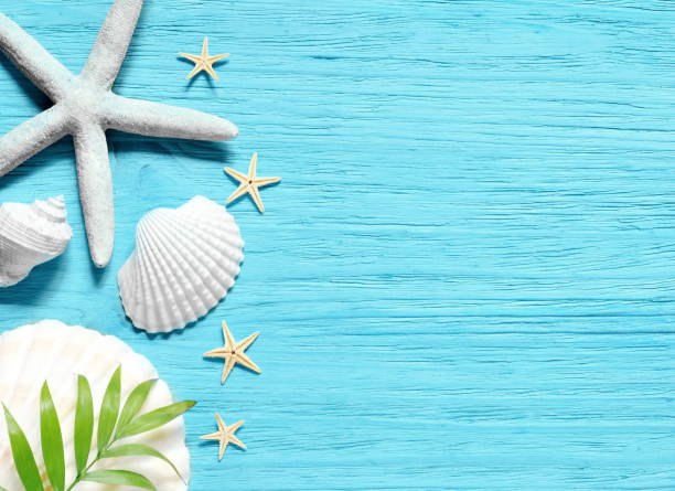 istock Summer sea background - shells, star on a wooden blue background 910586558