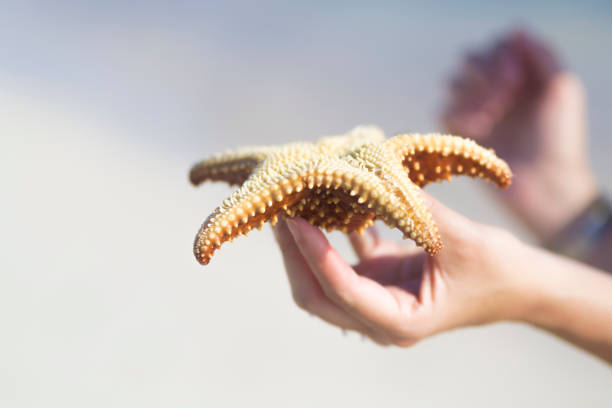 istock Happy girl showing beautiful starfish 910590170