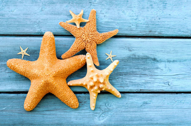 istock Summer sea background - shells, star on a wooden blue background 910590322