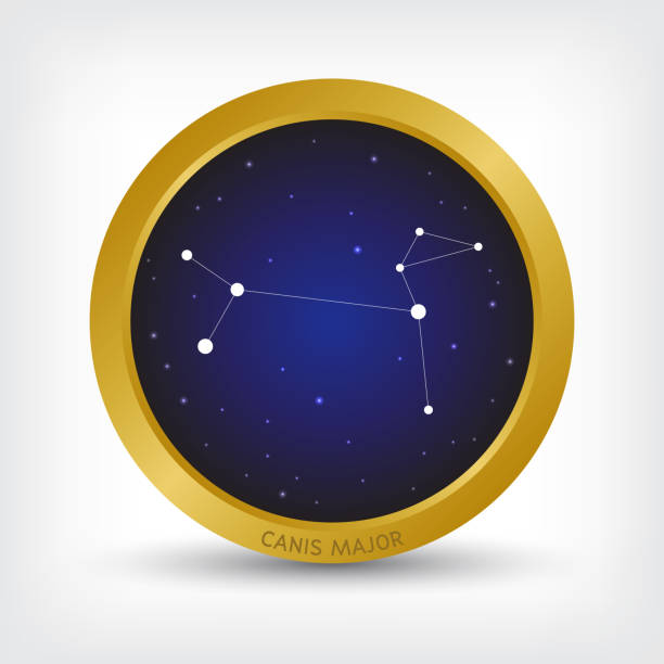 Canis Major constellation in golden circle Canis Major constellation in golden circle, group of star in galaxy, vector illustration constellation cygnus stock illustrations