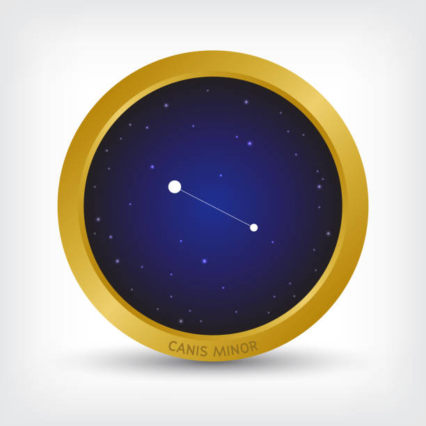 Canis Minor constellation in golden circle Canis Minor constellation in golden circle, group of star in galaxy, vector illustration constellation cygnus stock illustrations