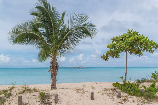 istock Guadeloupe, beautiful panorama 910605932