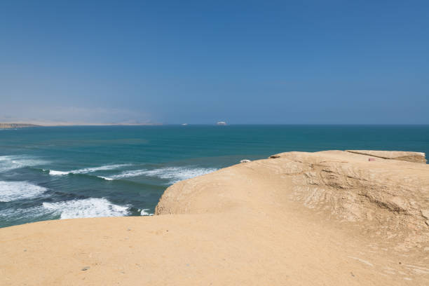 istock Paracas National Reserve, Peru. 910614416