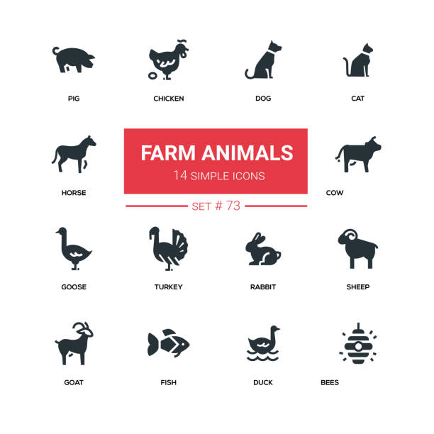 Farm animals - line design silhouette icons set Farm animals - line design silhouette icons set. High quality black pictograms. Dog, cat, horse, pig, chicken, cow, goose, turkey, rabbit, sheep, goat, fish, duck, bees fish clip art black and white stock illustrations