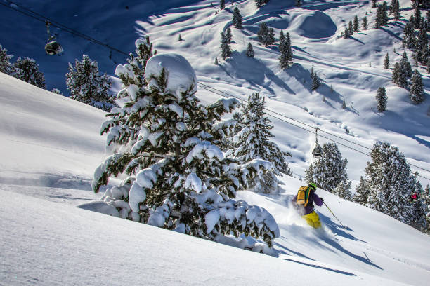 one skier skiing downhill between the trees towards snowy valley