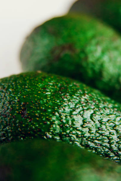 Avocado on the green and white background. Top view