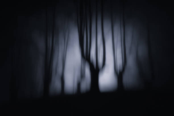 nightmare landscape with dark forest and scary trees at the night