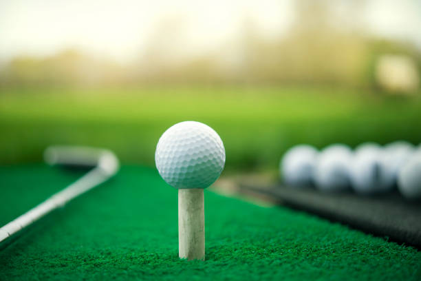 特別な訓練台、パターと緑の芝生に白いゴルフボール - golf green practicing sports training ストックフォトと画像