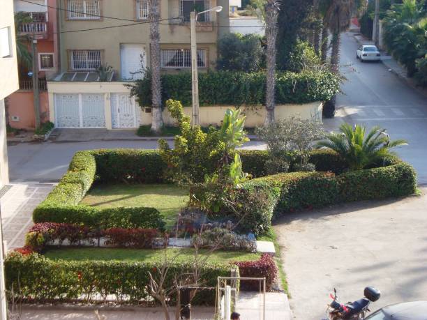 istock A PARKIN AND A GARDEN 910619576