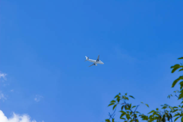 istock The plane is flying in the sky 910619774