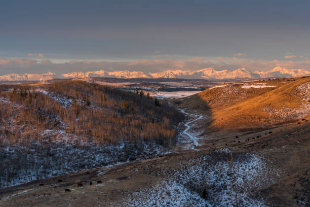 istock Glenbow Ranch Provincial Park at Cochrane, Alberta 910633270