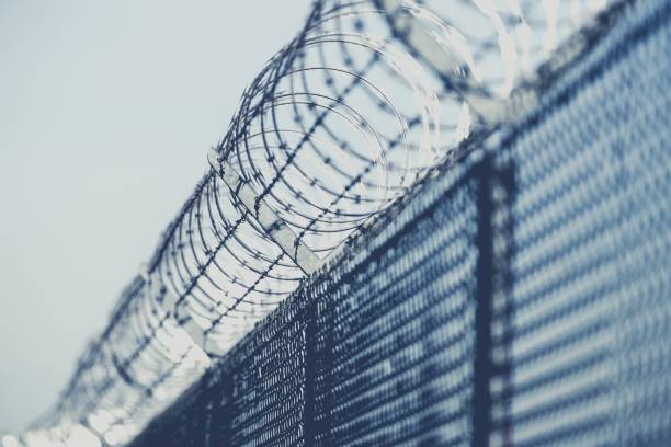 Restricted Area Barbed Fence Restricted Area Barbed Fence Closeup Photo in Bluish Color Grading. prison stock pictures, royalty-free photos & images