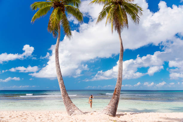 istock Vacation in Paradise, Dominican Republic 910648632