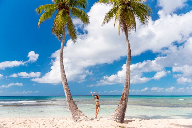 istock Vacation in Paradise, Dominican Republic 910655692