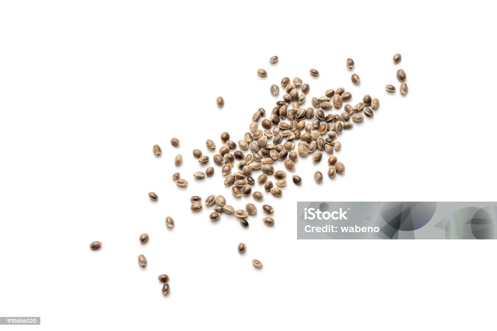 Hemp seeds Hemp seeds on white background Seed Stock Photo