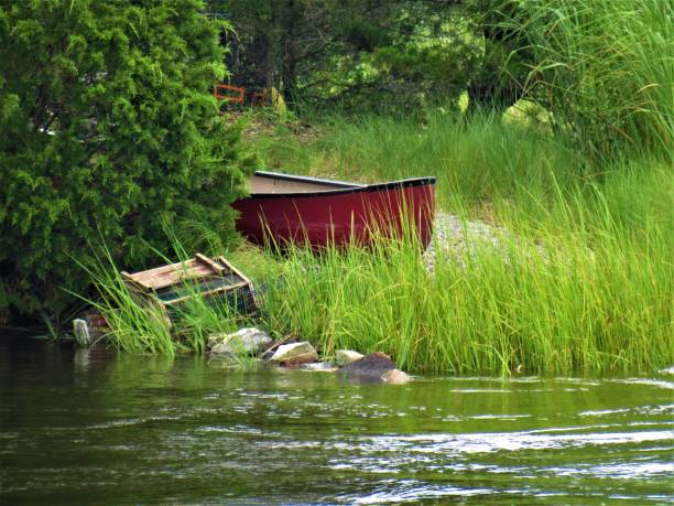 istock Small Boat In Grass By Water 910701980