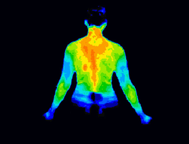 upper body thermography - upper arm fotos imagens e fotografias de stock