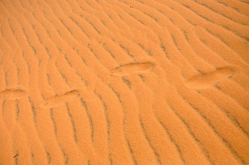 Footprints in the desert sand. Sand ripple details