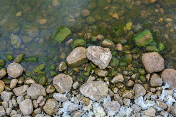 istock Lake Stones with green grass in nature 910722004