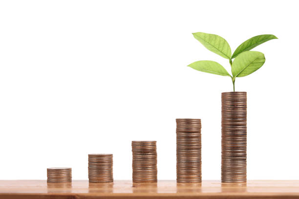 istock graph money coins stock finance 910722056
